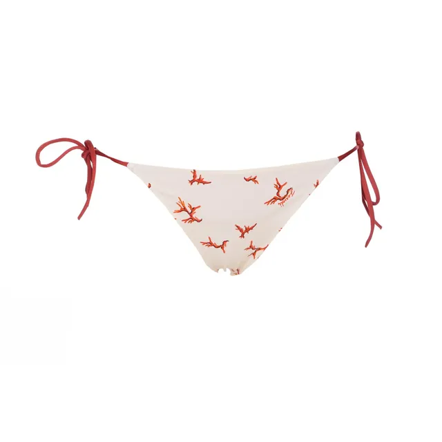 ビキニ FENDI CORAL PRINT SEASLIP CORAL PRINT SEASLIP FXBA52/AT8OF1MVO | Bruna Rosso