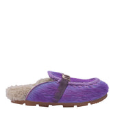 SLIDE WINTER BIO IN CAVALLINO A PELO LUNGO