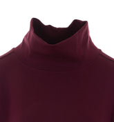 LOGO TURTLENECK SWEATSHIRT